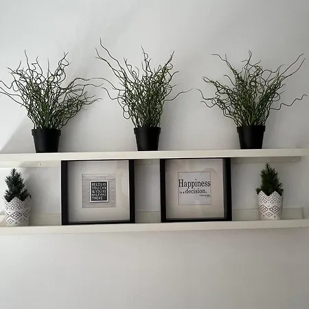 Cozy Apartment